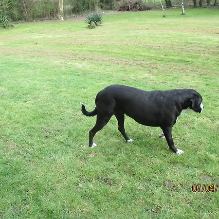 فندق مبيت وإفطار Chambres D'hotes Barbecane *